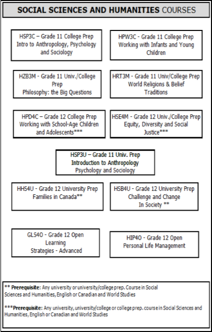 Social Sciences and Humanities